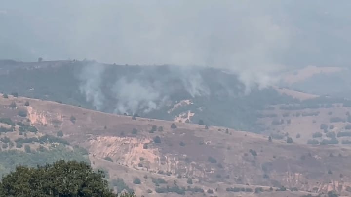 Zjarr në malin e fshatit Ketë në Xibër, rrezikohet një nga zonat më të bukura me pemë halore Ahu