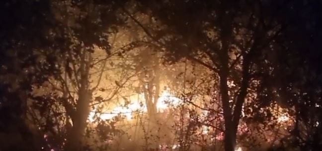 Zjarr në Dibër, digjen disa hektarë pyje dhe kullota në Zerqan