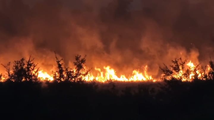 Zjarr masiv në Kongrazhd në afërsi të Burrelit, nis ndërhyrja për vënien nën kontroll