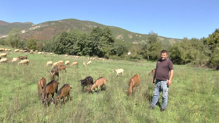 BULQIZË / BLEGTORIA NË RËNIE