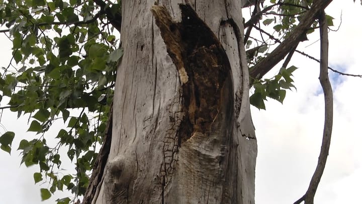 PLEPAT, RREZIK PËR PËRDORUESIT E RRUGËS NACIONALE BURREL-MILOT