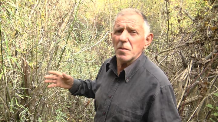 Burimi i ujit, mollë sherri për dy familje në Ostren të Bulqizës.