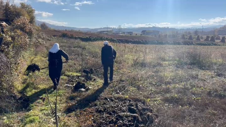 Dibër, çifti i të moshuarve të përkushtuar ndaj bujqësisë, shkak pensioni i ulët