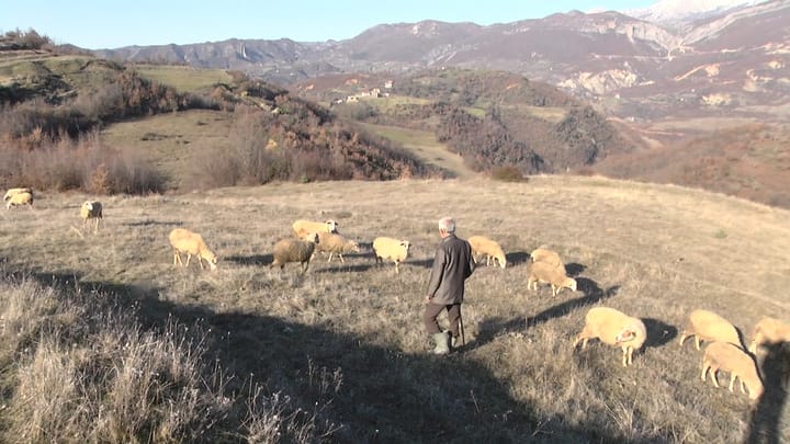 Ish-punëtorët e kooperativës bujqësore me pensionin më minimal në vend