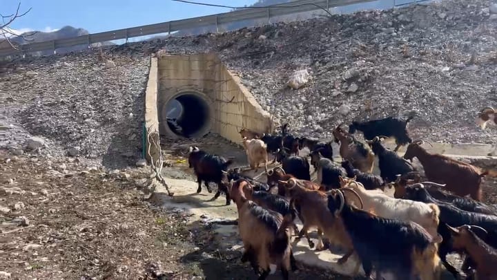 Teksa rruga e Arbrit është drejt përfundimit, në Shkallë të Xibrit mungojnë nënkalimet për banorët