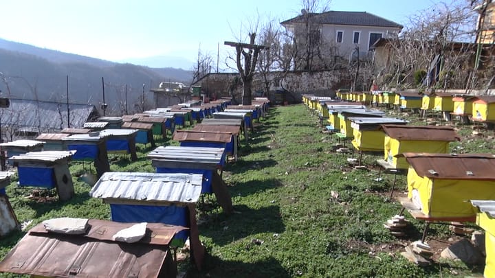 Sfidat e bletarisë në Dibër