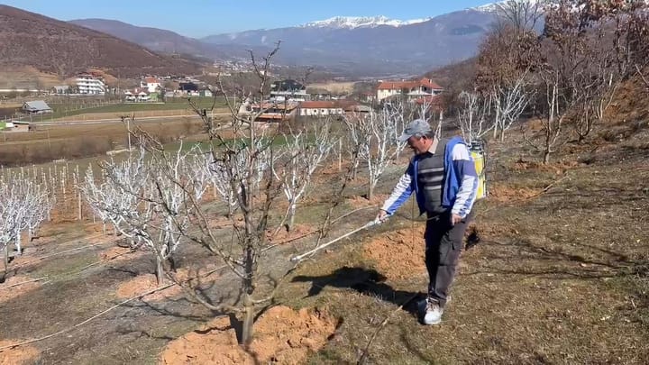 BULQIZË, PUNOI 25 VITE NË EMIGRACION, TASHMË PO INVESTON SUKSESSHËM NË VENDLINDJE