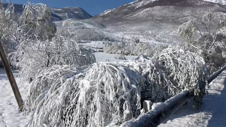 Prefekti Shehu: Kemi nxjerrë në terren grupet e verifikimit të dëmeve nga ngricat