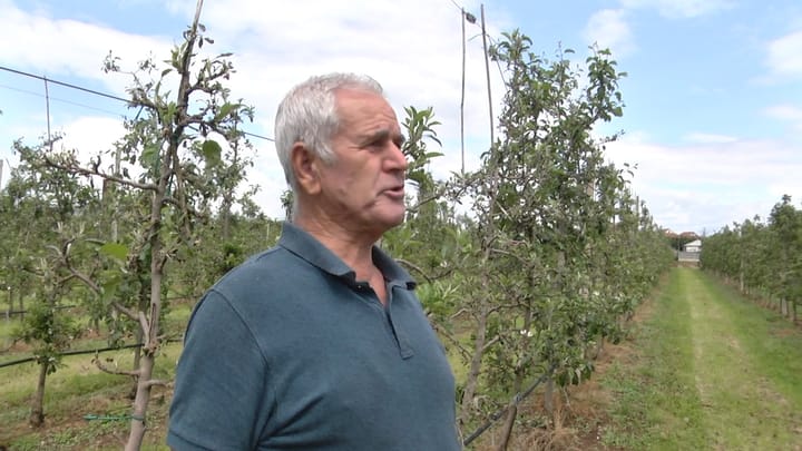 Fermeri Kryemadhi: të paktën 2 milionë lekë humbje