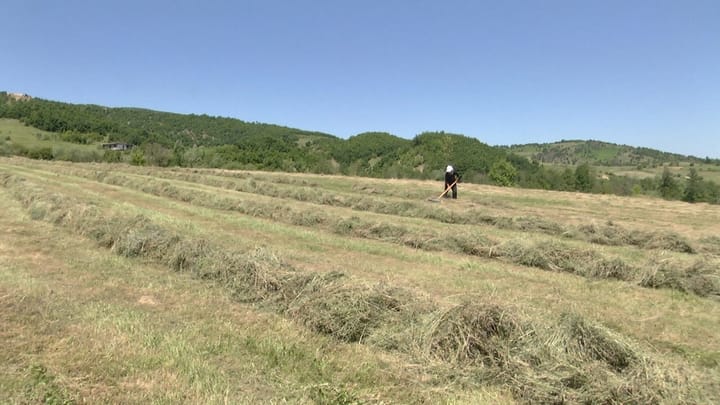 Bulqizë – Tokat në Miresh të lëna djerrë, banorët kërkojnë mbështetje dhe rihapjen e doganës historike