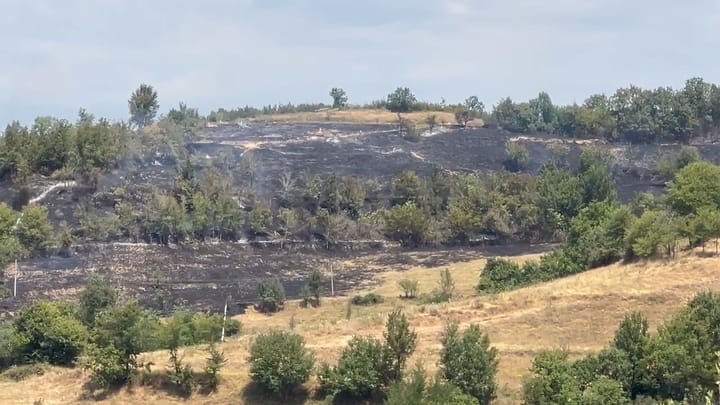 Parandalimi dhe menaxhimi i zjarreve, Prefekti Shehu: masat janë marrë të plota