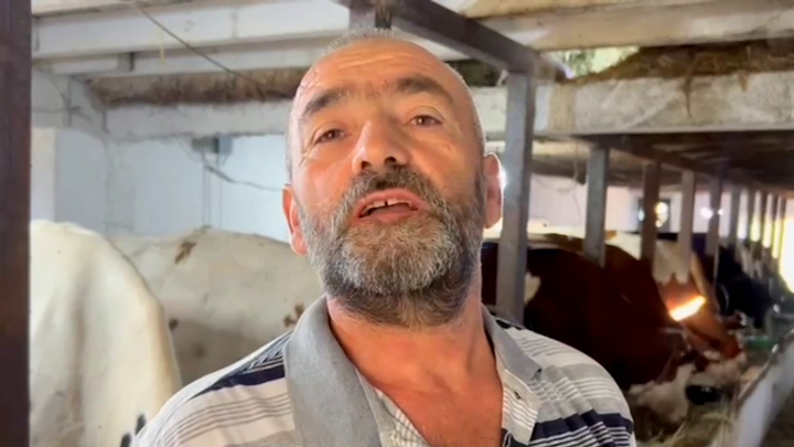 (VIDEO)Faturë për bulmetin, fermeri Topizu: Është faliment për neve, po na përzënë