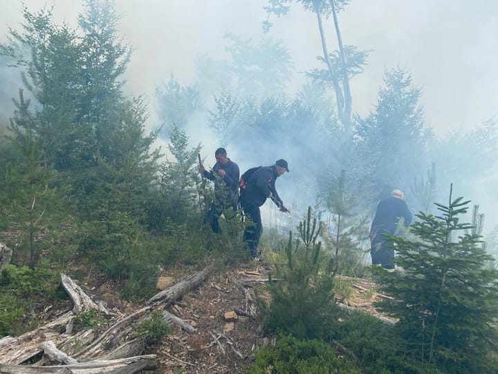 Vatra e zjarrit në parkun Kombëtar të Lurës, dhjetra forca në terren për shuarjen e flakëve, pritet helikopteri