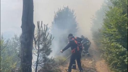 Vijojnë zjarret në Lurë e Bulqizë, rritet sipërfaqja e djegur