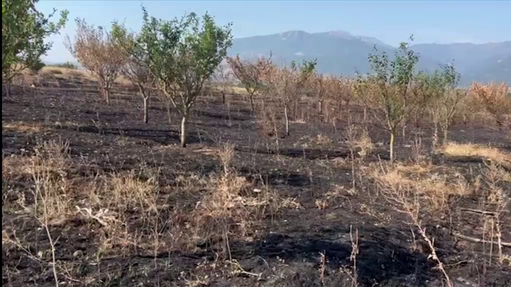 (VIDEO)Zjarret pranë zonave të banuara, prefekti Shehu banorëve: kujdes se rrezikoni të shkoni në burg
