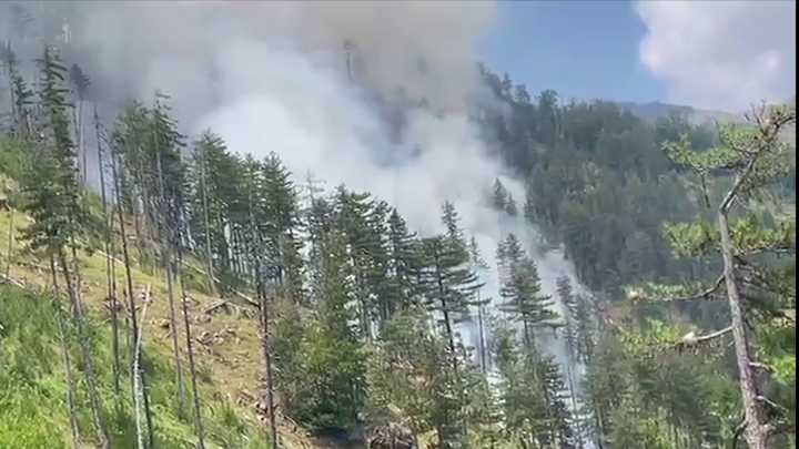 (VIDEO)Zjarri në Parkun e Lurës, helikopteri ndërhyn nga ajri – përpjekjet vijojnë pa ndërprerje