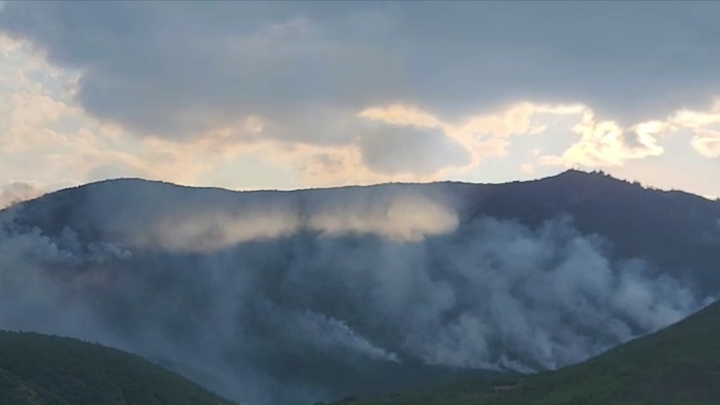 (VIDEO)Zjarri në Shupenzë, totalisht jashtë kontrollit, flakët i afrohen banesave