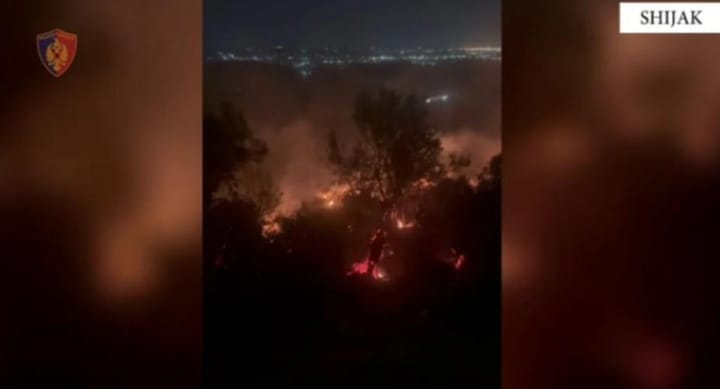 Zjarri në Shijak/ Vihet në pranga autori i dyshuar, zjarri doli jashtë kontrollit kur po digjte mbeturinat
