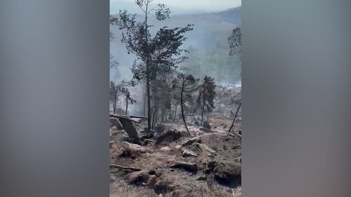 (VIDEO)Lufte me flaket ne qarkun e Dibres