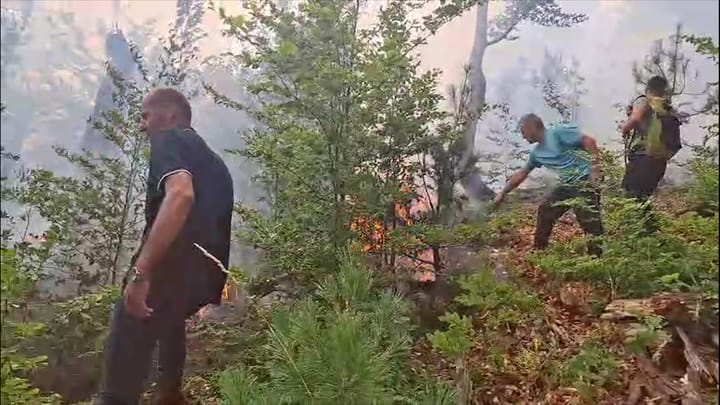 (VIDEO)PREFEKTI I QARKUT DIBËR FËR DËMET NGA ZJARRET