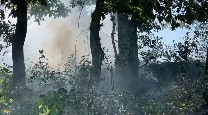 Zjarri përfshin pyllin pranë banesave në Sopot të Bulqizës, rrezikohen shtëpitë