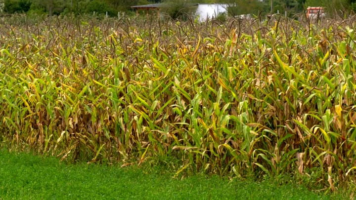 Mbyllen aplikimet për Skemën Kombëtare të Investimeve