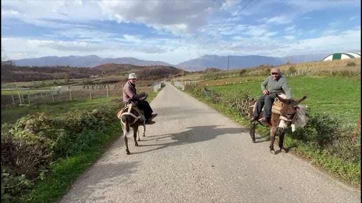 Dy kushurinjtë Kryemadhi nuk i ndahen bujqësisë: duam të ndihmojmë ekonominë e familjes