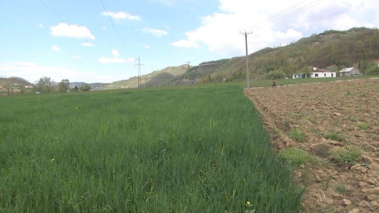 Prefekti Shehu apel ndaj fermerëve: Mos neglizhoni regjistrimin e tokës