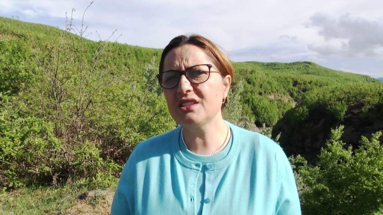 Çupi: “S’ka kthim pas, qytetarët e qarkut Dibër te enjten protestë tek ura e Matit”