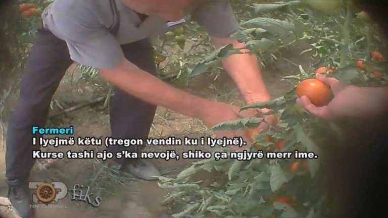 Ndërhyni fort, shpëtoni njerëzit dhe vetë agro-ekonominë