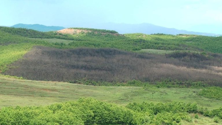 Dëmi nga zjarret i pallogaritshëm por akoma nuk janë zbuluar autorët