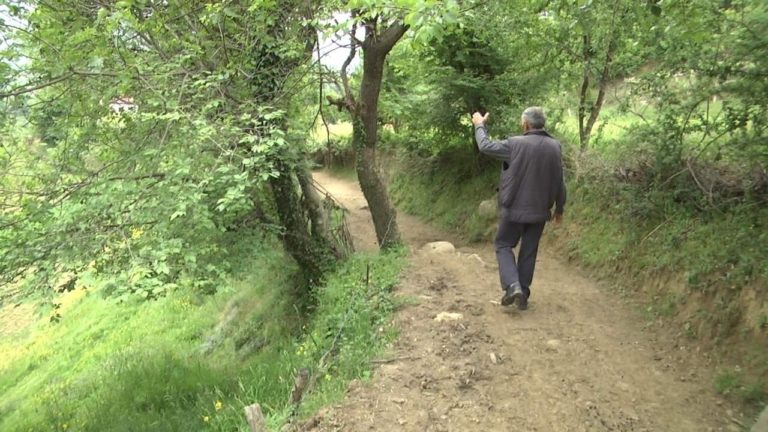 Bashkia e Klosit merr masa për rrugët e fshatit Rripë pas ngritjes së këtij problemi nga Mattv.al