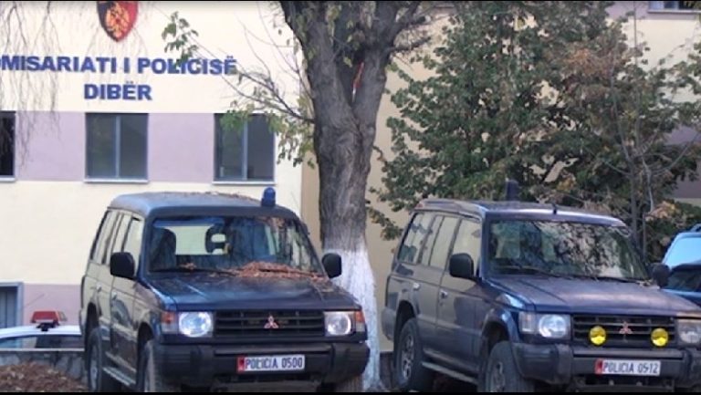 Armëmbajtje pa leje dhe prodhim armësh luftarake. Një i arrestuar dhe 16 të proceduar penalisht. Raporti i javës D.V.P