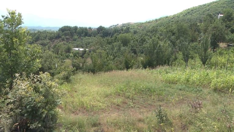 Lagjja “Gjoni” në Baz, “thahet” për mungesë uji