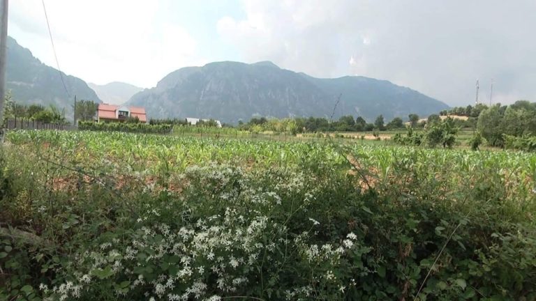 Klos, vaditja në Fullqet, banorët kërkojnë mirëmenaxhim