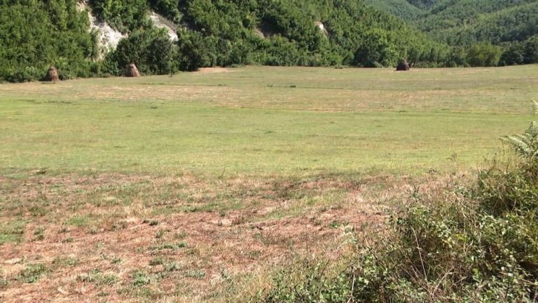 Gurrë, fshati Mishtër pa vaditje, banorët: “Që prej vitit 1990”
